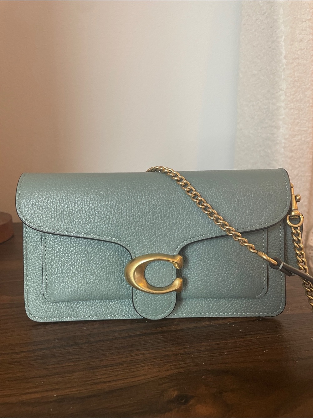 Coach Leather tabby chain clutch Crossbody Bag in sage with brass Hardware EUC